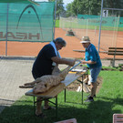 IMG_5015.JPG