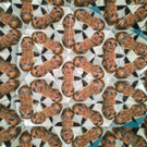 Museum der Illusionen Wien _7_.jpg