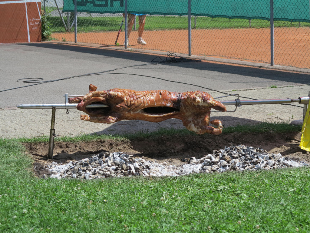 IMG_5033.JPG