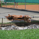IMG_5033.JPG