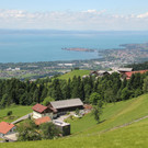 IMG_8117.JPG