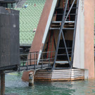 IMG_9721.JPG