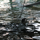 IMG_9728.JPG