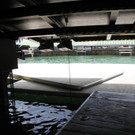 IMG_9736.JPG