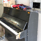IMG_9763.JPG