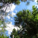 IMG_6809.jpg