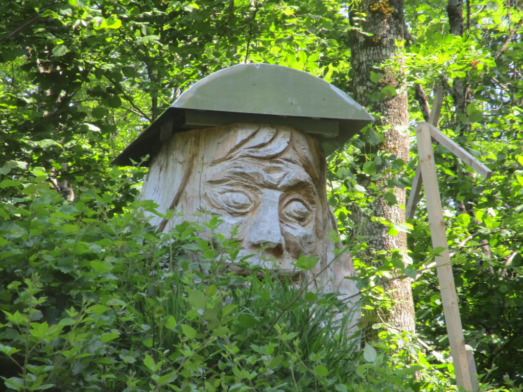 IMG_8555.JPG