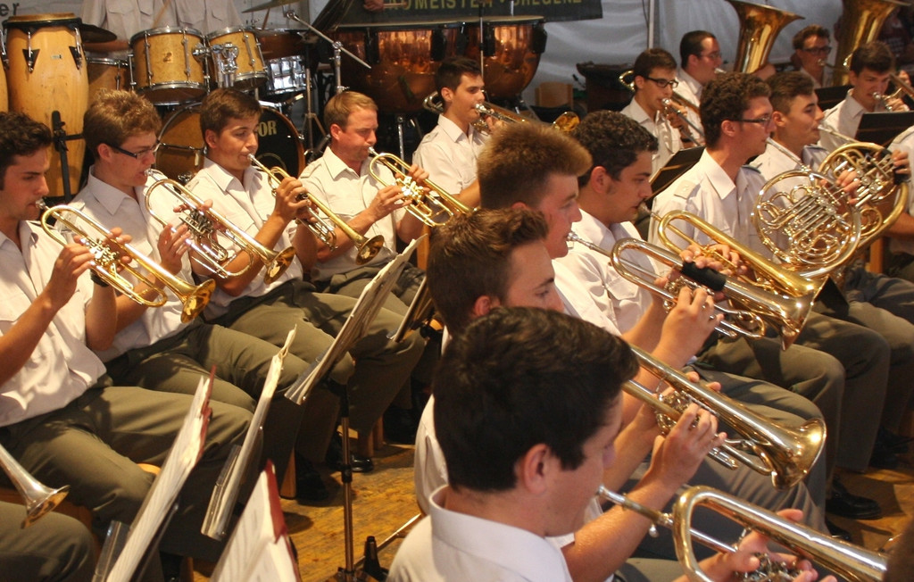 Lochau Milit__rmusik Sommerkonzert TERMIN 2017 _6_.JPG