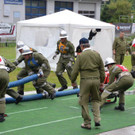 DSC_5959.jpg