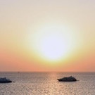 AFP_QM23D.jpg