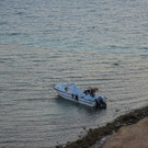 AFP_QM23F.jpg