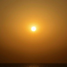 AFP_QM238.jpg
