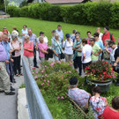 Stubaital_12072017_080.jpg