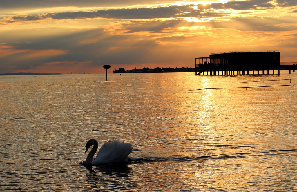Treff am See Sonnenunterg__nge Symbolfotos Juli 2017 _1_.JPG