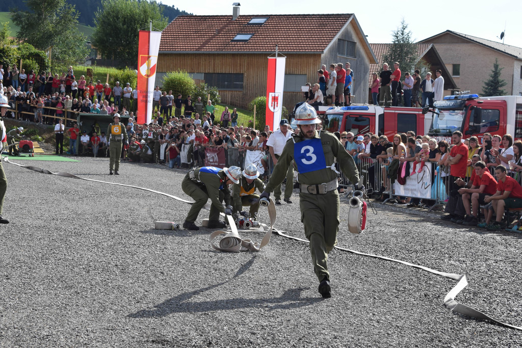DSC_0137.jpg