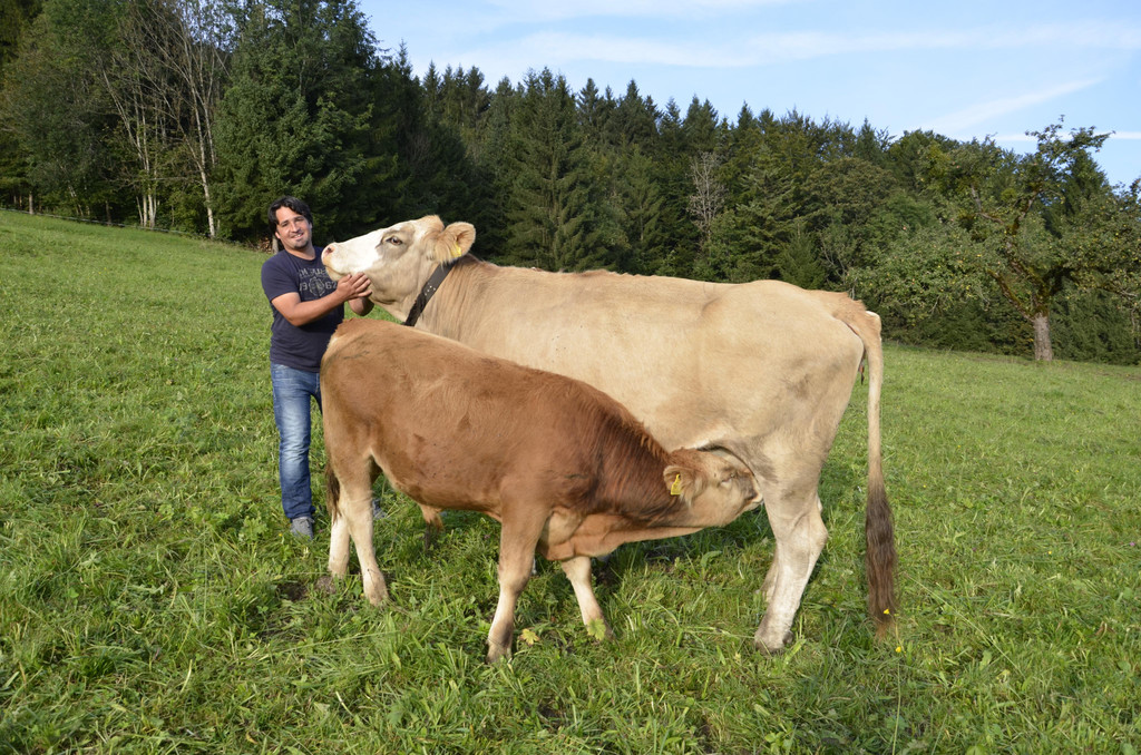 BK_Robert Tiefenthaler_Singleheuen2017.jpg