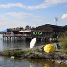 DSC_0007.JPG