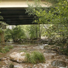 Flash_Floods_Arizona_12337.jpg