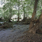 Flash_Floods_Arizona_82219.jpg