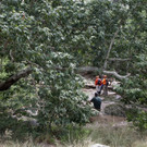 APTOPIX_Flash_Floods_Arizona_01072.jpg