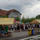 DSC08523.jpg