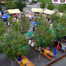 DSC08526.jpg