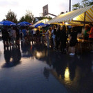 DSC08569.jpg