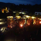 DSC08586.jpg