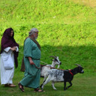 DSC_5369.jpg
