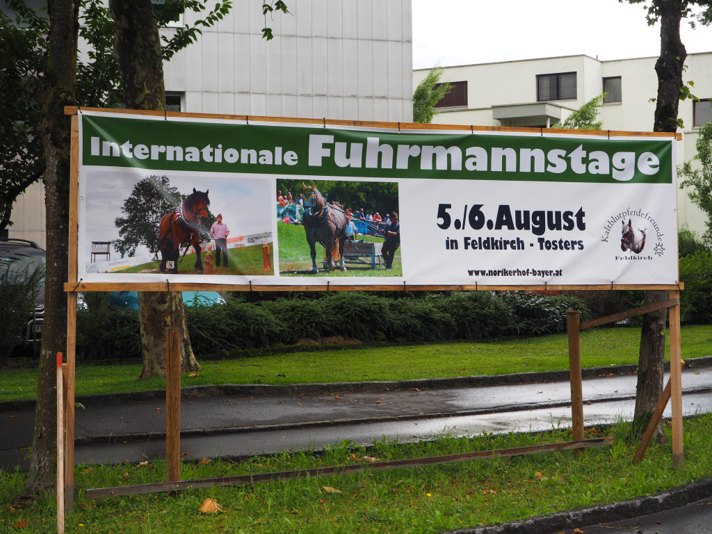 P7141833.JPG
