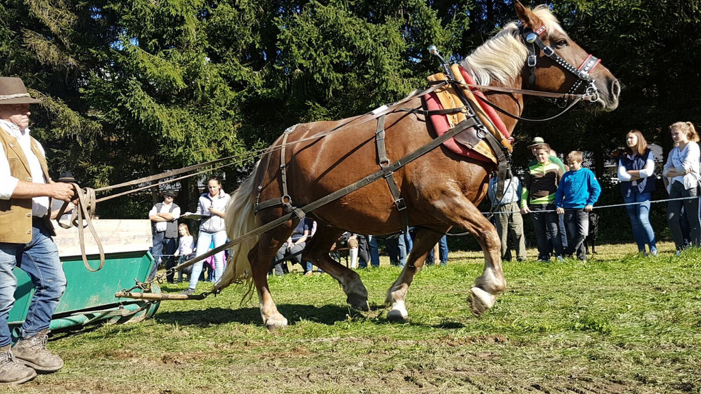 IMG_0428.JPG