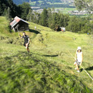 IMG_4206.JPG