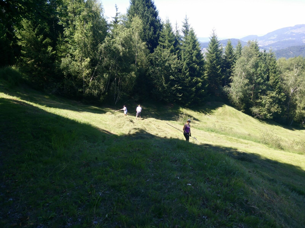 IMG-20170717-WA0003.jpg