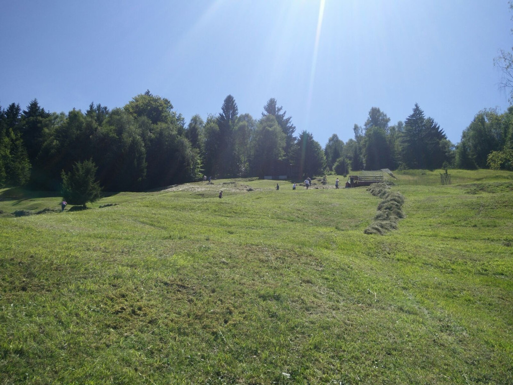 IMG-20170717-WA0006.jpg