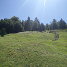 IMG-20170717-WA0006.jpg