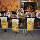 Z Bierblosn Sommerkonzert Dorffest 20-07-2017 _1_.JPG
