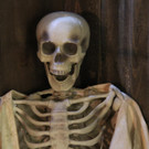 Escaperoom Vorarlberg