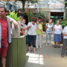 IMG_8733 _1_.JPG
