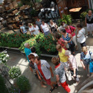 IMG_8736 _1_.JPG