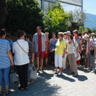 IMG_8738 _1_.JPG