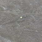 20170725fmt_1000kreuze_ta_017.JPG