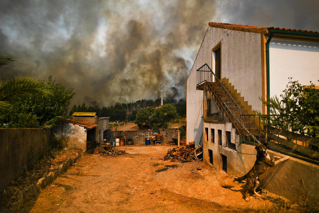 portugal-brand-feuer _7_.jpg