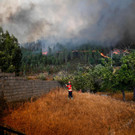 portugal-brand-feuer _19_.jpg
