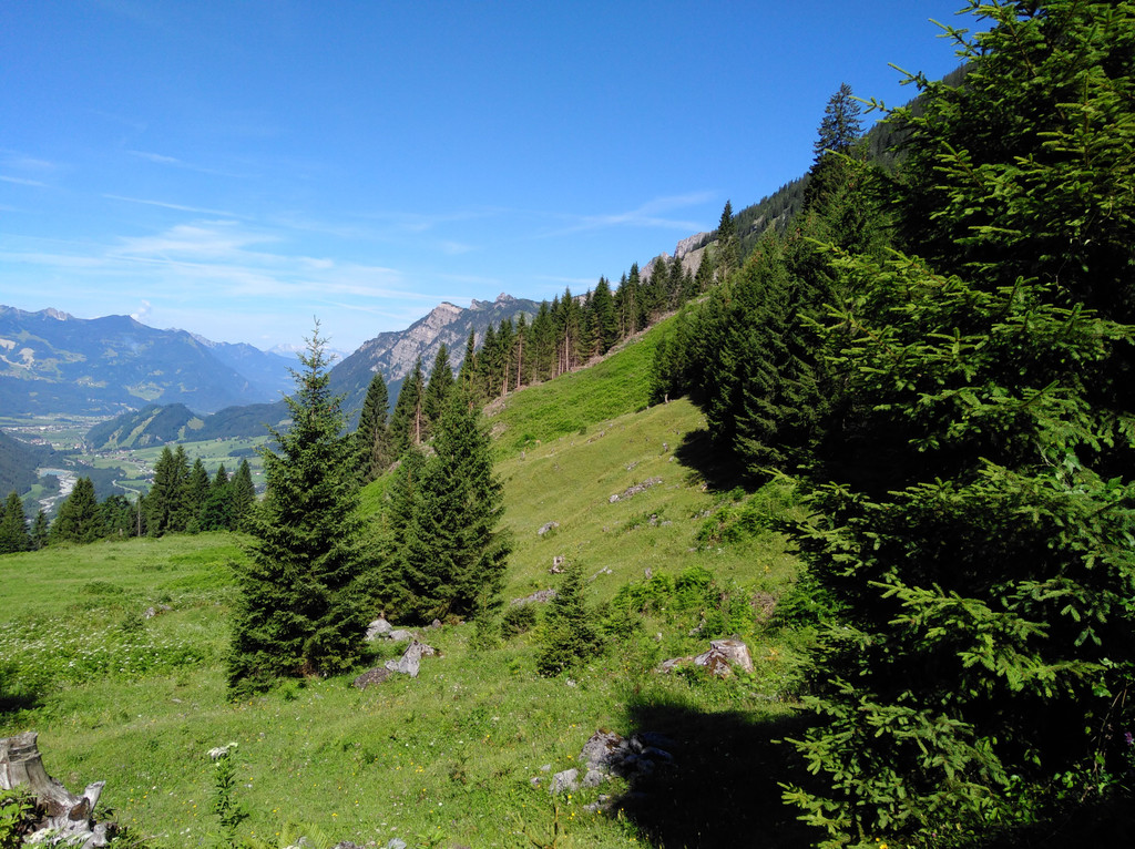IMG_20170718_102810_1_.jpg
