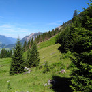 IMG_20170718_102810_1_.jpg