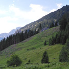 IMG_20170718_170829_1_.jpg