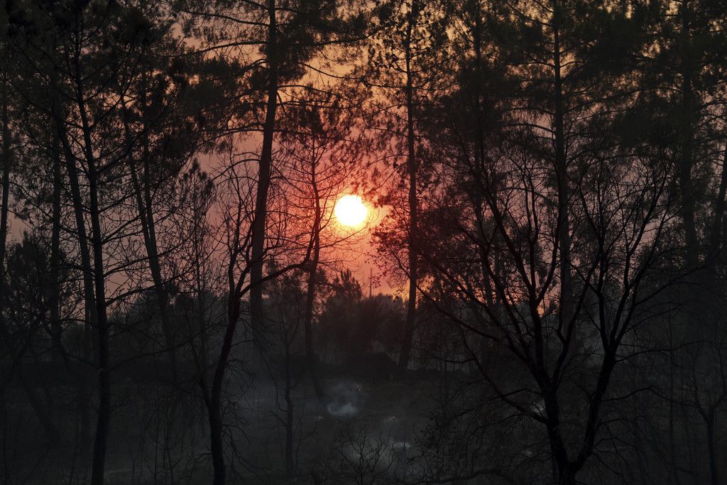 Portugal_Forest_Fires_88564.jpg