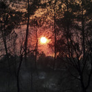 Portugal_Forest_Fires_88564.jpg