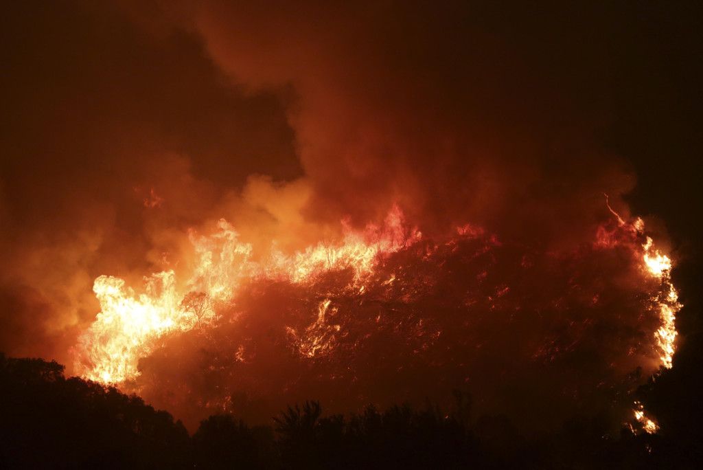 Portugal_Wildfires_21006.jpg