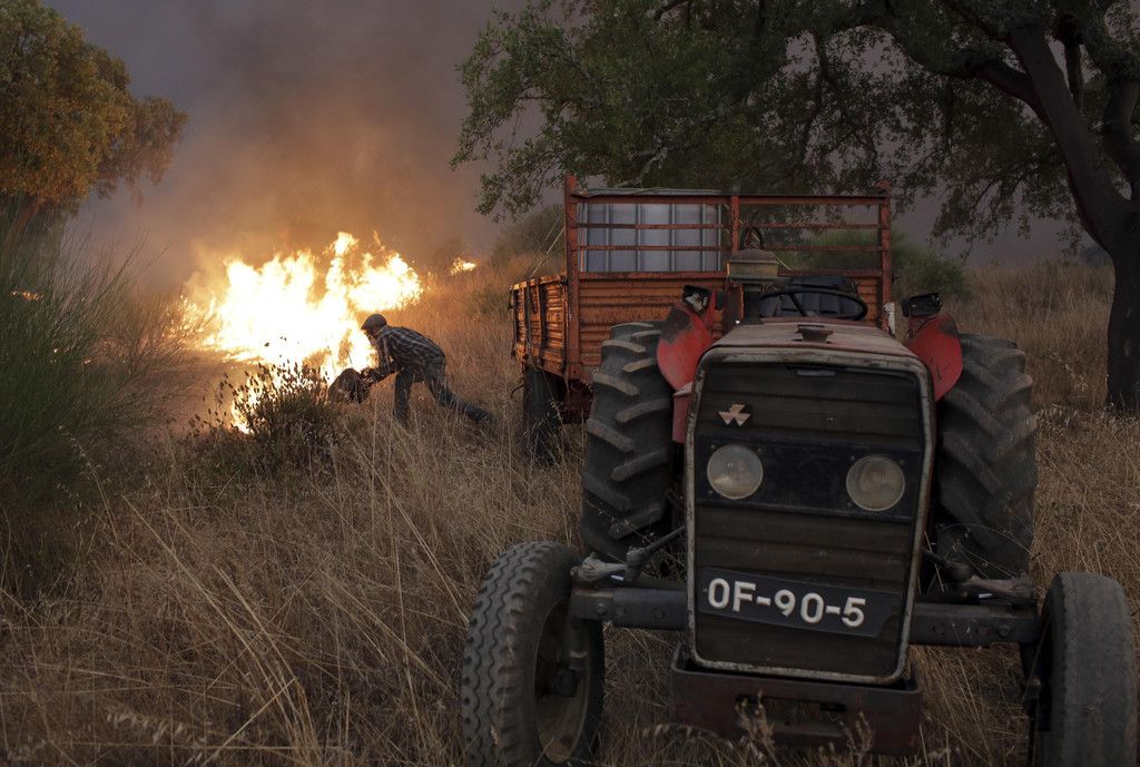 Portugal_Wildfires_94008.jpg